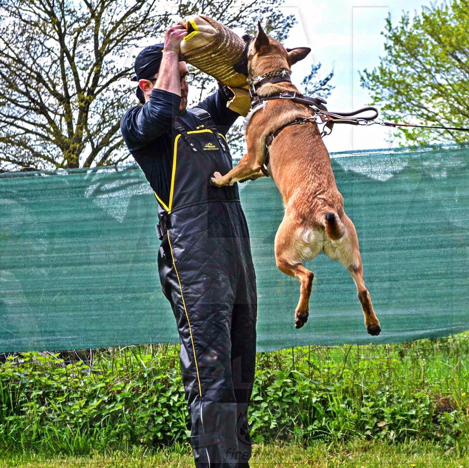 Hetzärmel Hundesport